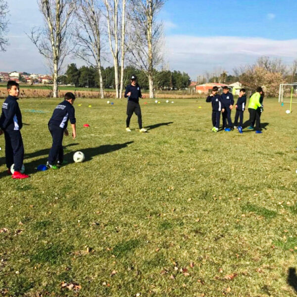 alana football trainig live alana football trainig live